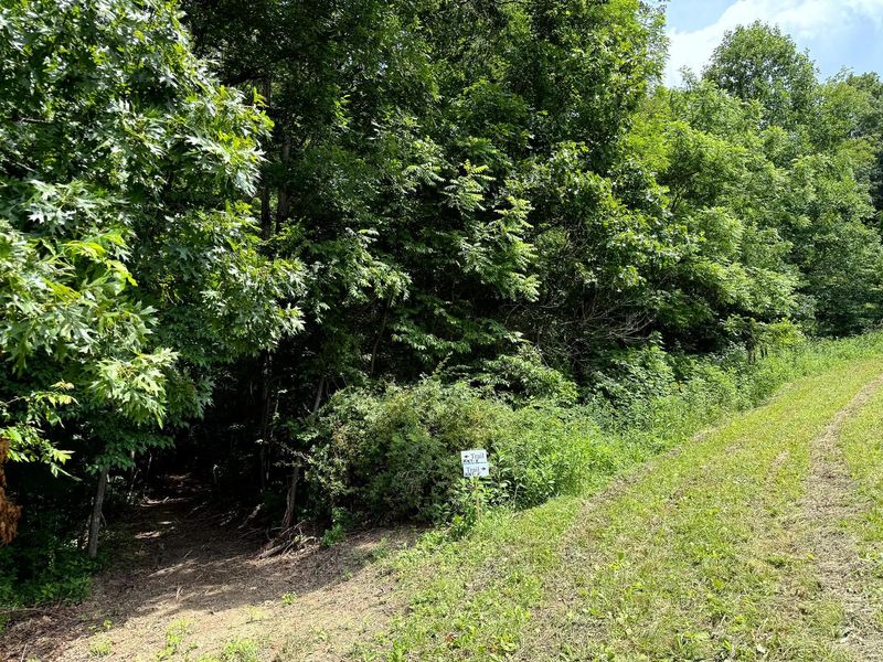 0 Cutlip St, Unit (Tract 8 a, Jackson, OH 45640 Photo 4