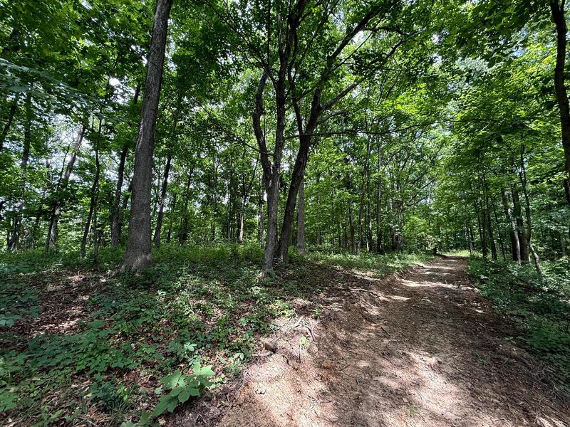 0 Cutlip St, Unit (Tract 8 a, Jackson, OH 45640 Photo 5