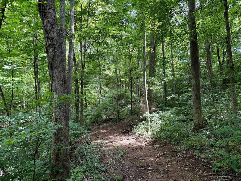0 Cutlip St, Unit (Tract 8 a, Jackson, OH 45640 Photo 6