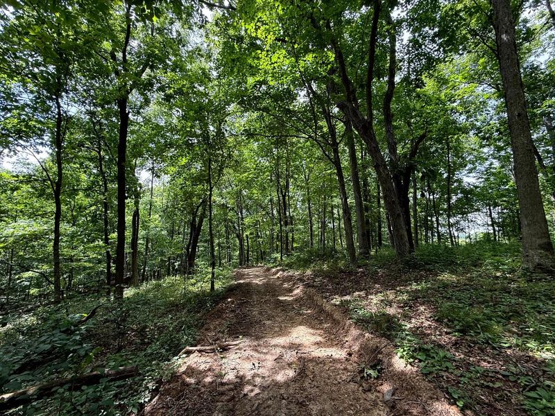 0 Cutlip St, Unit (Tract 8 a, Jackson, OH 45640 Photo 7