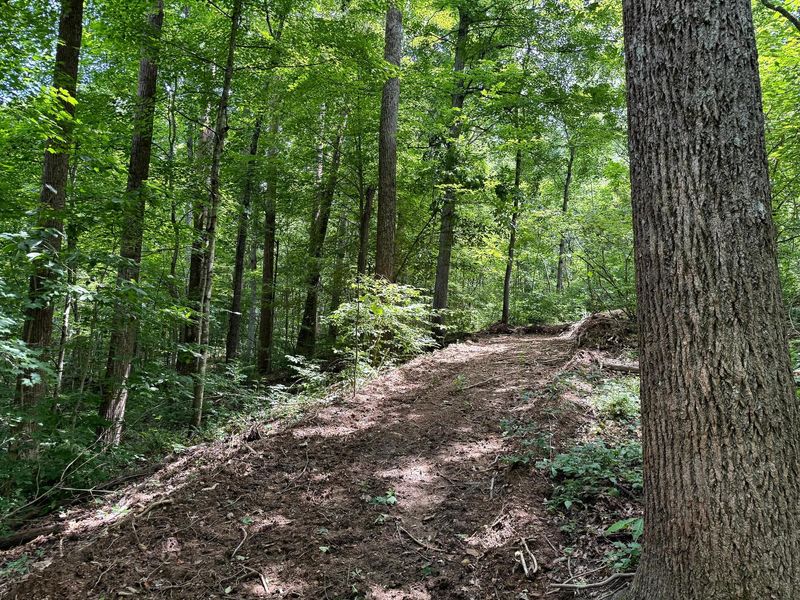 0 Cutlip St, Unit (Tract 8 a, Jackson, OH 45640 Photo 8