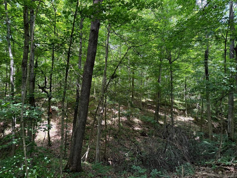 0 Cutlip St, Unit (Tract 8 a, Jackson, OH 45640 Photo 9