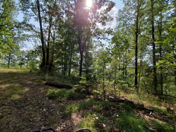 5614 Ashland City Highway , Nashville, TN 37218