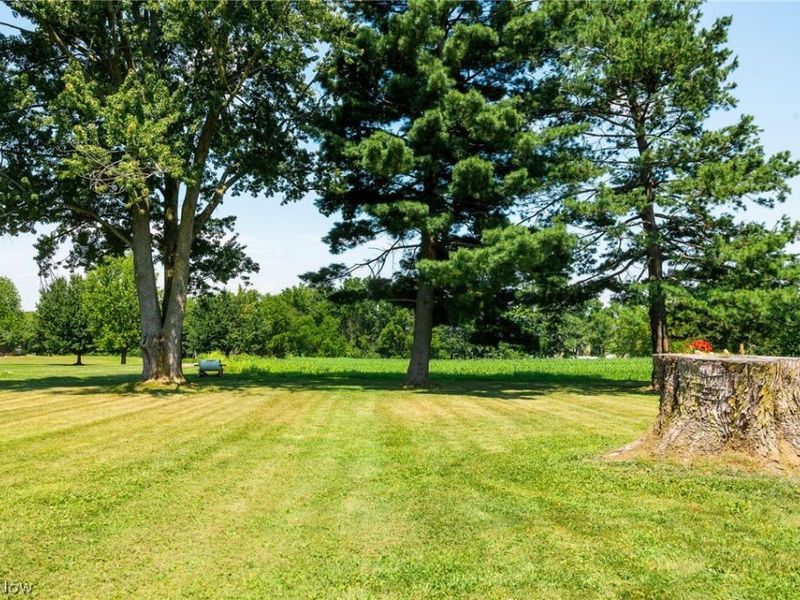14138 Nussbaum Road, Dalton, OH 44618 Photo 41