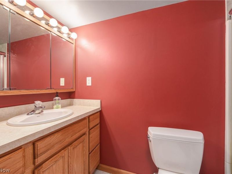 3811 Bramblewood Drive, Brunswick, OH 44212 Photo 30