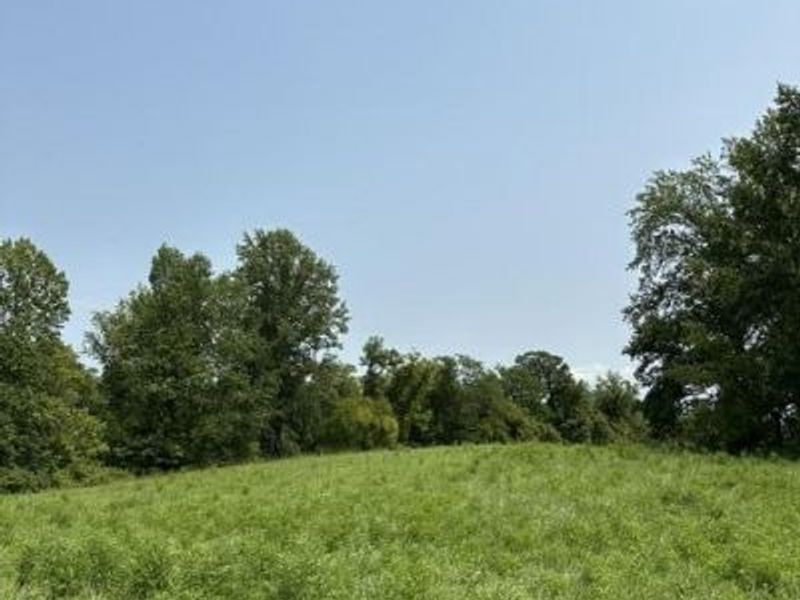 0000 31.7031 AC ON BIG BONE CHURCH Road, Union, KY 41091 Photo 4
