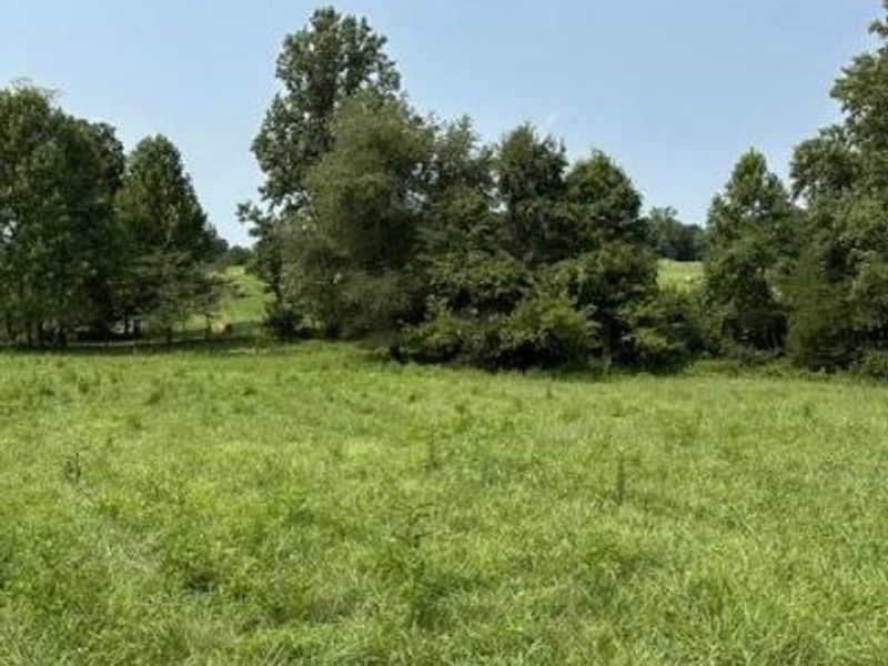 0000 31.7031 AC ON BIG BONE CHURCH Road, Union, KY 41091 Photo 6