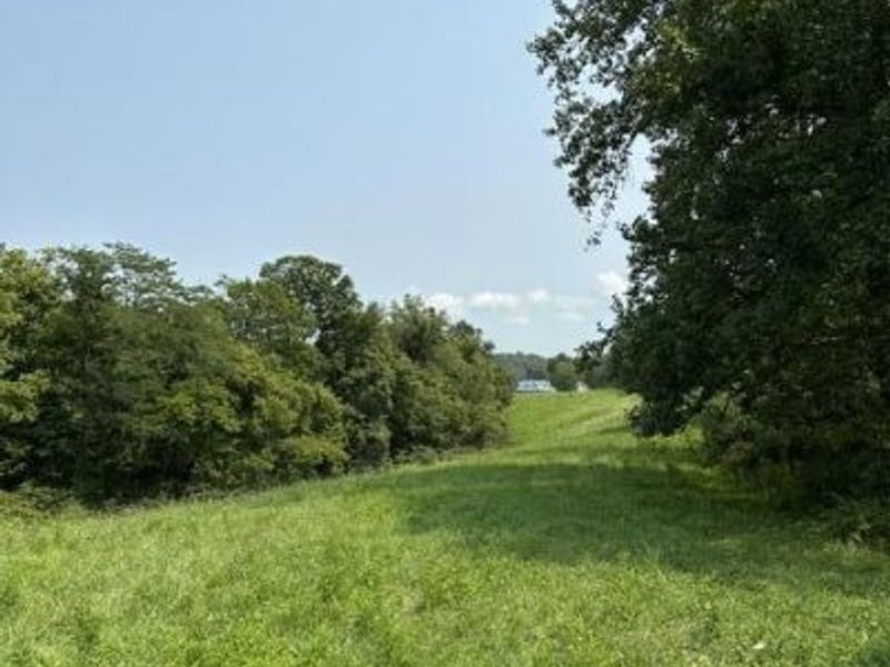 0000 31.7031 AC ON BIG BONE CHURCH Road, Union, KY 41091 Photo 8