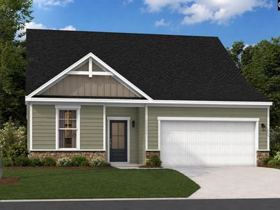 712 Top Line Street, Chapin, SC 29036
