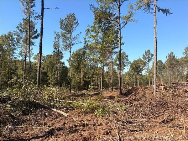 Lot 1 S Plank Road, Sanford, NC 27330