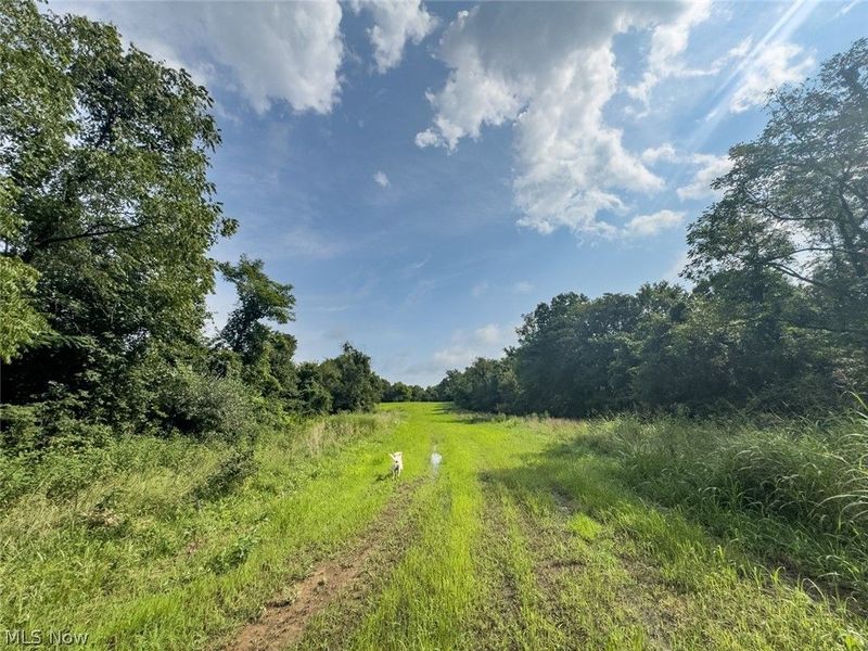 Parcel 3 Wildwood Lake Road, Coolville, OH 45742 Photo 10