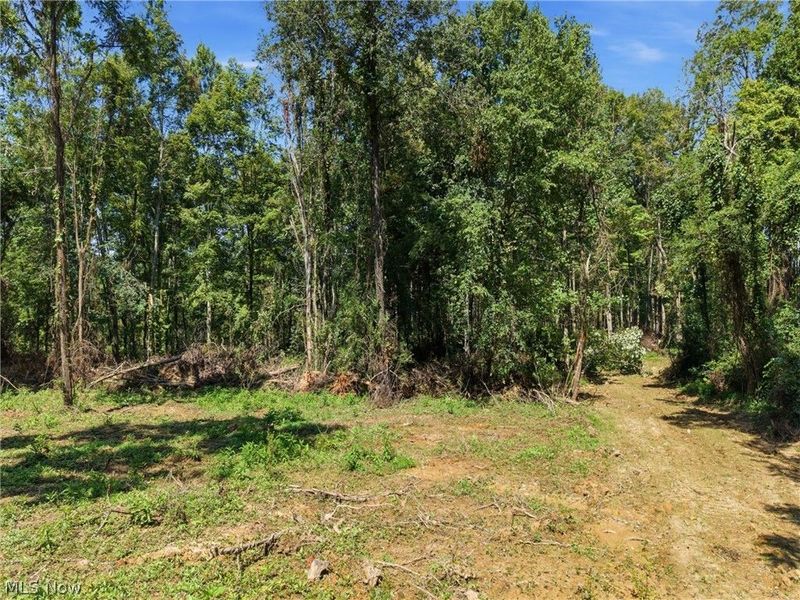 Parcel 3 Wildwood Lake Road, Coolville, OH 45742 Photo 16