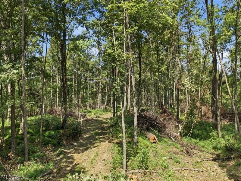 Parcel 3 Wildwood Lake Road, Coolville, OH 45742 Photo 18