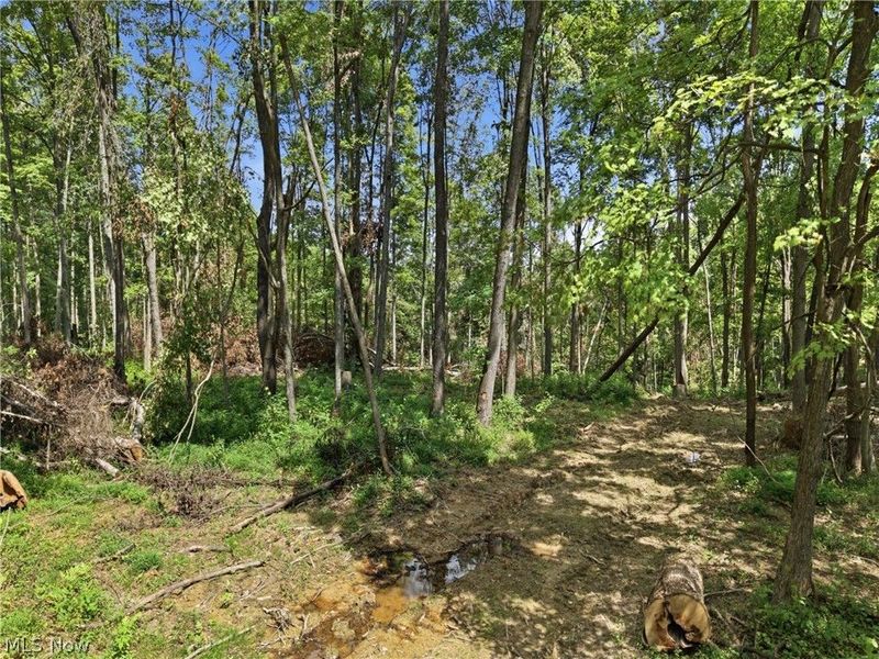 Parcel 3 Wildwood Lake Road, Coolville, OH 45742 Photo 19