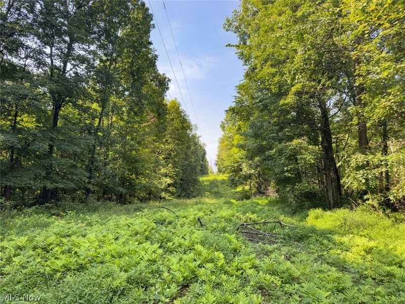 Parcel 3 Wildwood Lake Road, Coolville, OH 45742 Photo 20