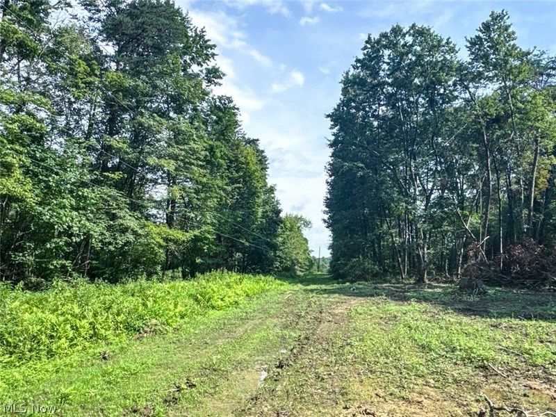 Parcel 3 Wildwood Lake Road, Coolville, OH 45742 Photo 24