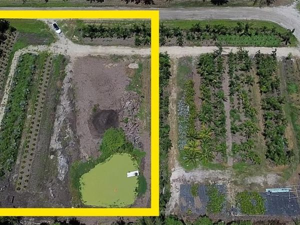 4531 Woodstock RD , OTHER, FL 33956