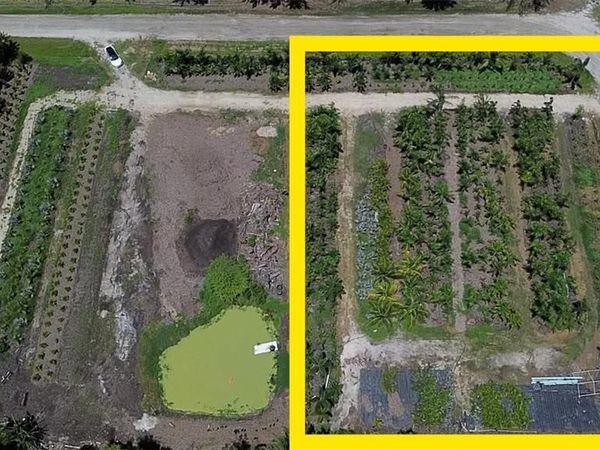 CORNER LOT , OTHER, FL 33956