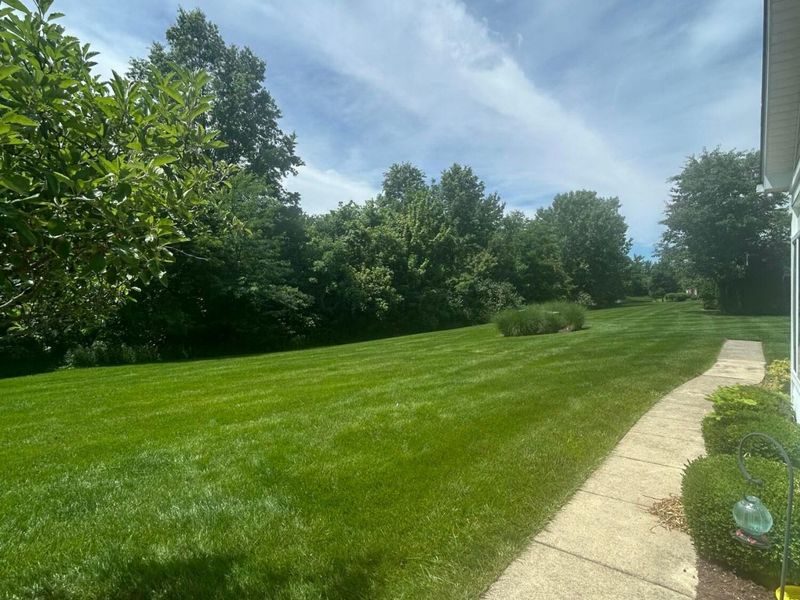 6953 Rothwell Street , New Albany, OH 43054 Photo 18