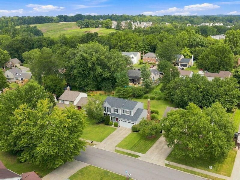 6863 Vantage Court, Florence, KY 41042 Photo 45