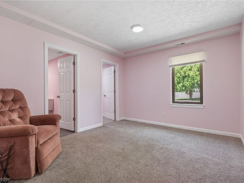 219 N Jefferson Street, Medina, OH 44256 Photo 10