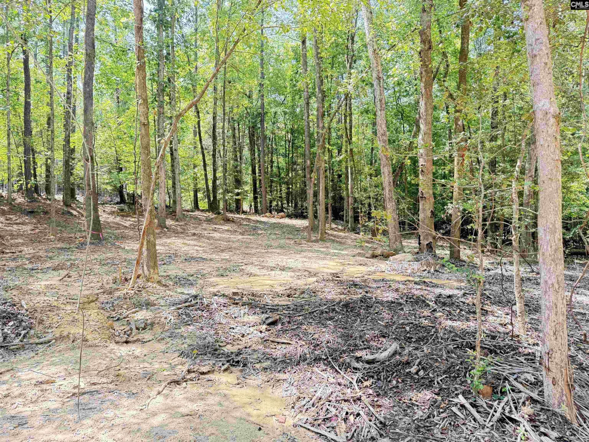 281 Douglas Road Photo 23