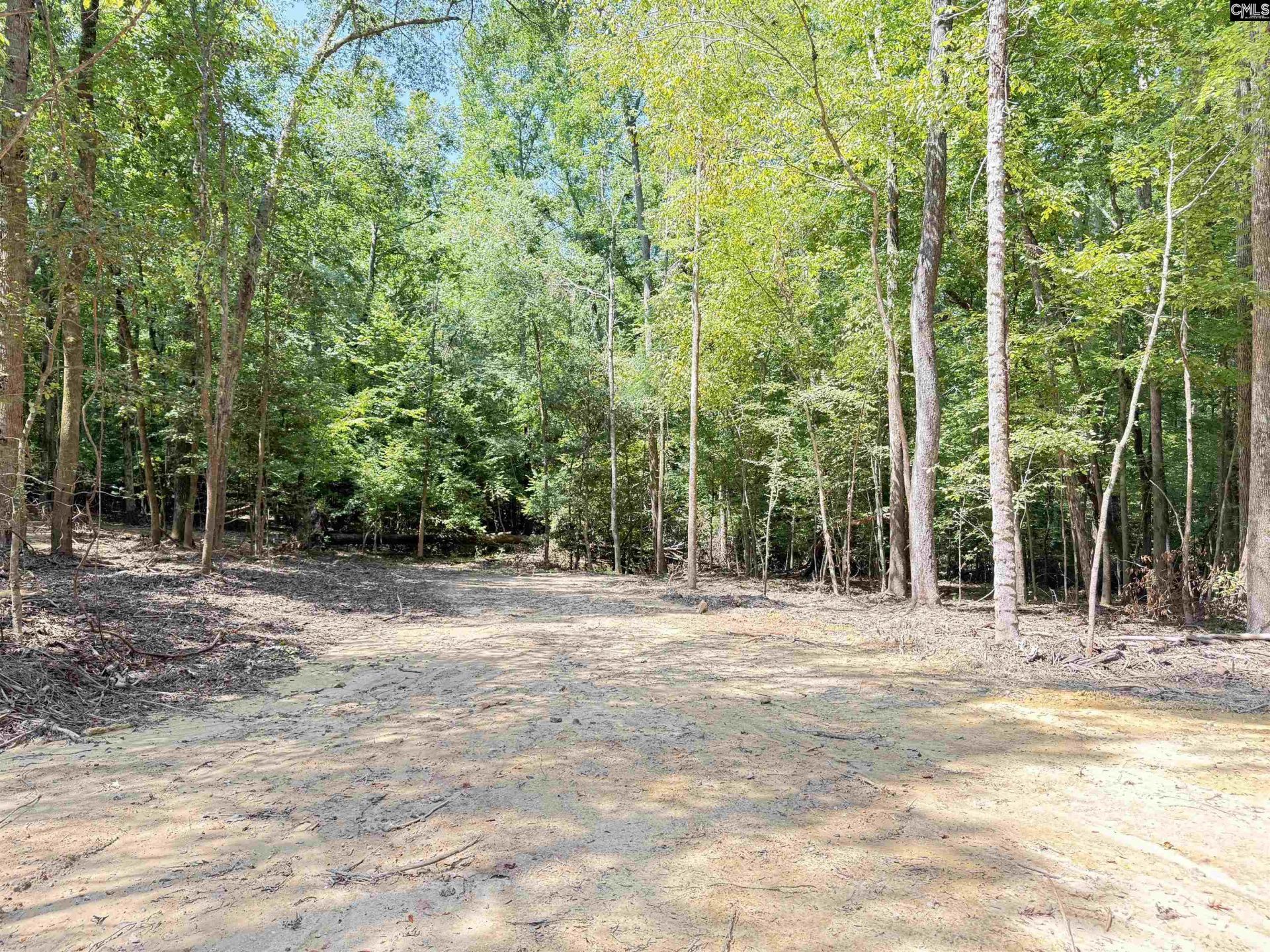 281 Douglas Road Photo 24