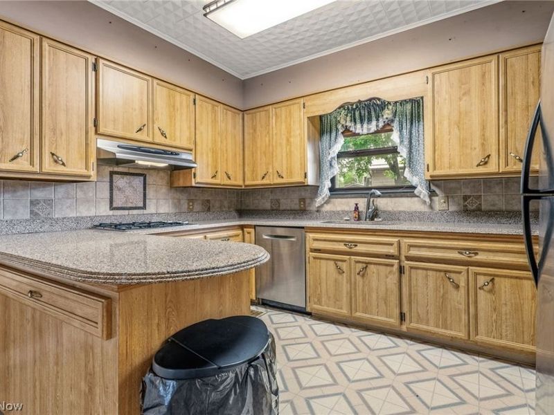 3975 Whitacre Avenue SE, Minerva, OH 44657 Photo 5