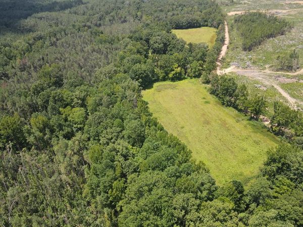 00 Country Road 428, Paris, MS 38949