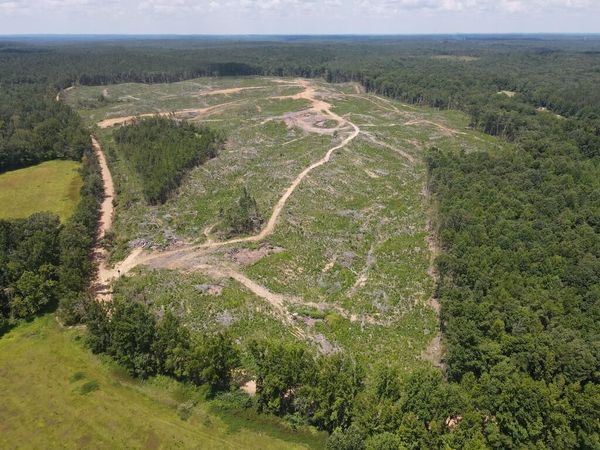 00 Country Road 428, Paris, MS 38949