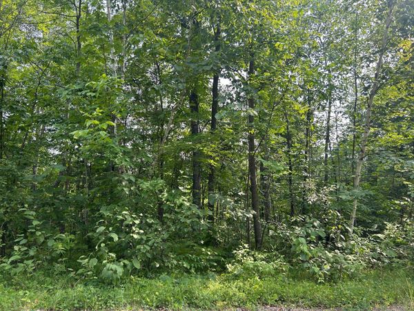 TBD Central Street, Garrison, MN 56450