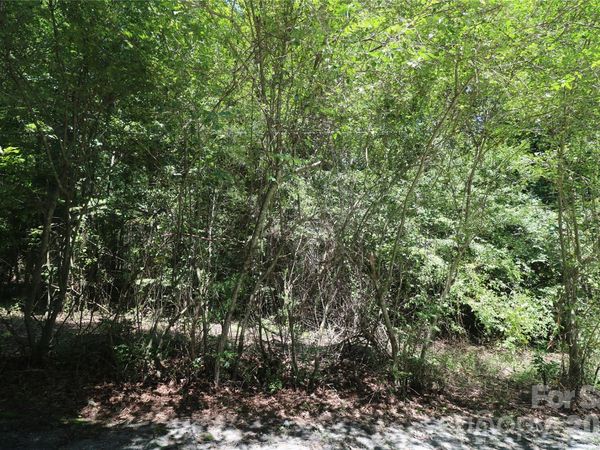 0 Shady Nook Circle , Forest City, NC 28043