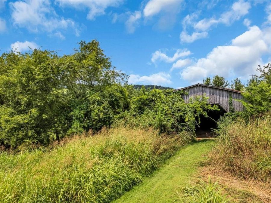 Property Image 52