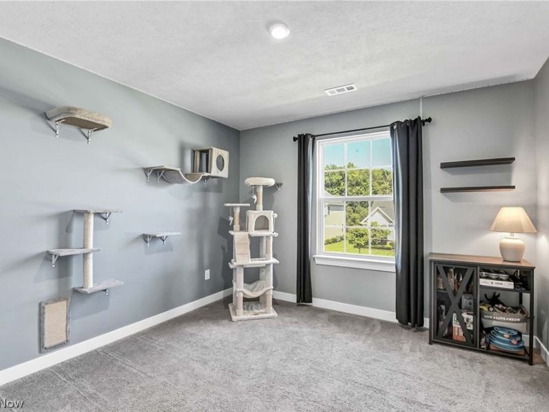 36288 Thornbury Street, North Ridgeville, OH 44039 Photo 29