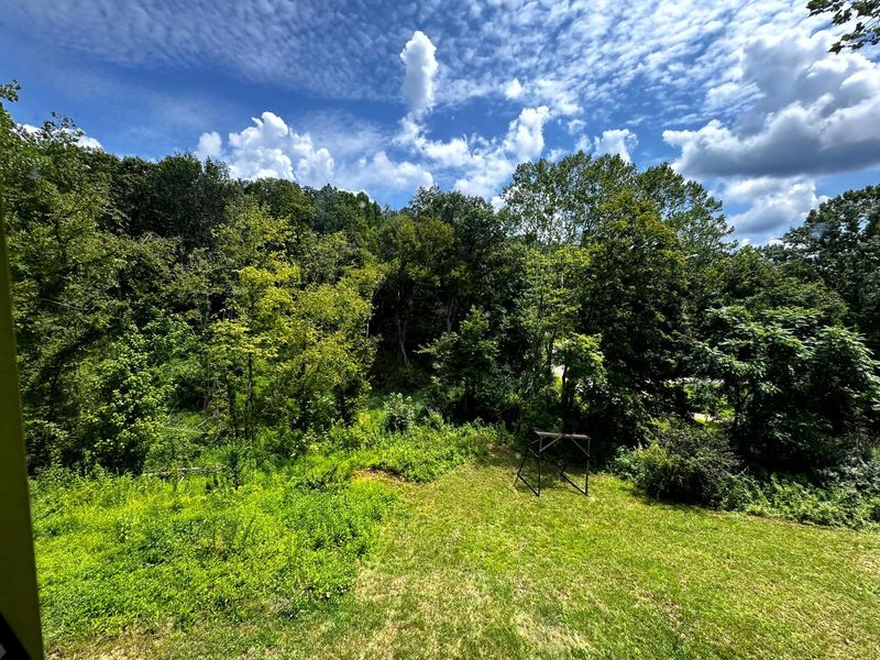 55158 Barr Hollow Road , Unit (Morgan Cr, Reedsville, OH 45772 Photo 14