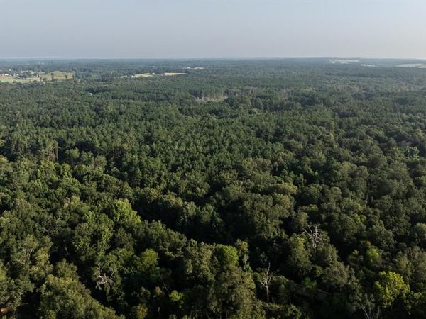 TBD Cr 461 , Laneville, TX 75667