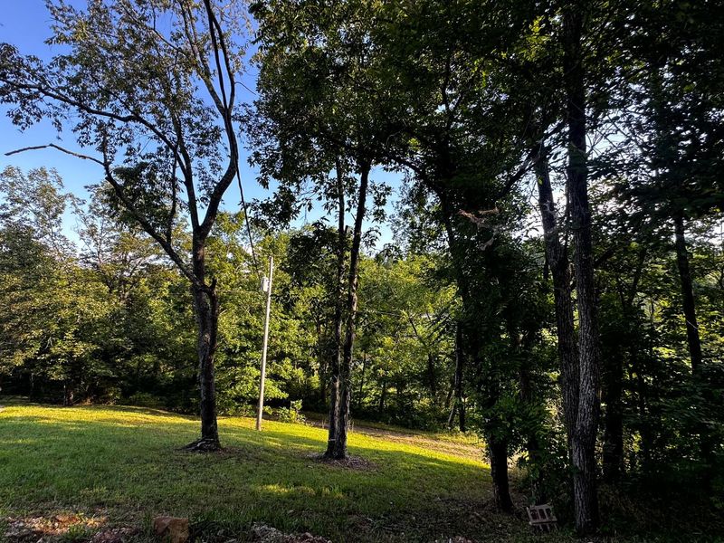 55124 Barr Hollow Road , Unit (Rock Run , Reedsville, OH 45772 Photo 13