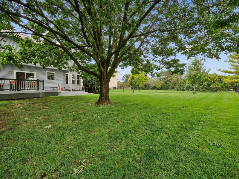 5692 Westbriar Court, Hilliard, OH 43026 Photo 45