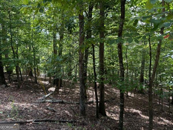 117 Tulip Tree Court, Waleska, GA 30183