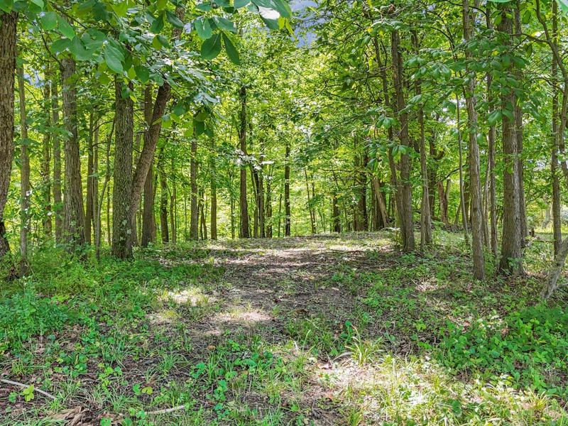 1859 Coonpath Road NW, Lancaster, OH 43130 Photo 60