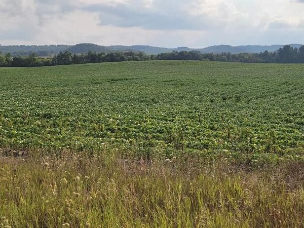 000 Casper Road, Alma Center, WI 54611