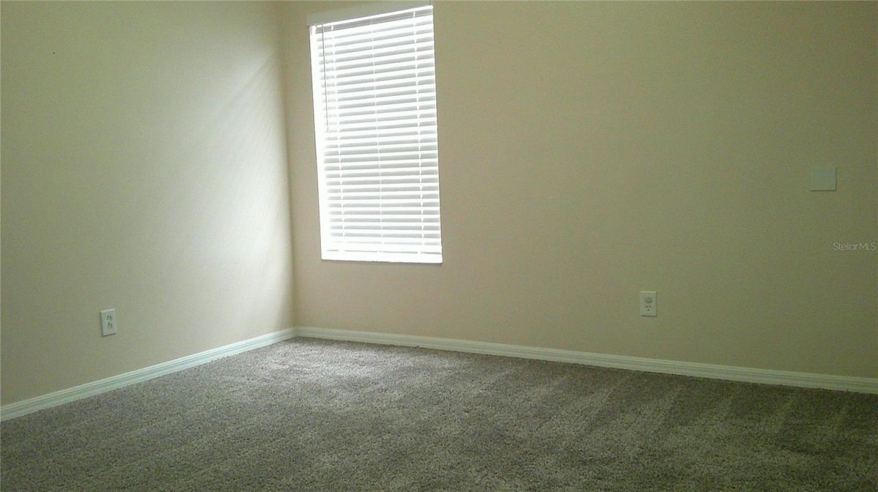 5718 Fishhawk Ridge Drive, Lithia, FL 33547 Photo
