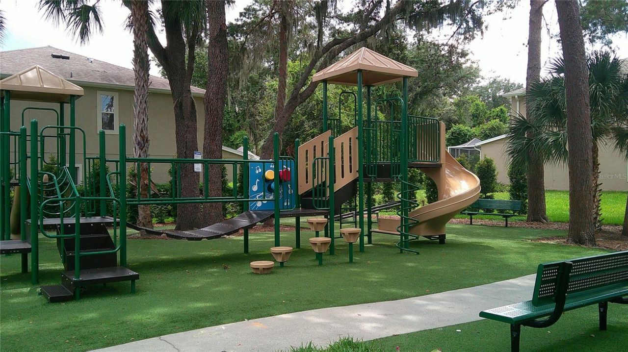 5718 Fishhawk Ridge Drive , Lithia, FL 33547 Photo