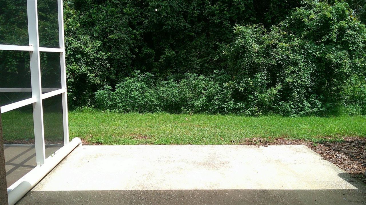 5718 Fishhawk Ridge Drive, Lithia, FL 33547 Photo