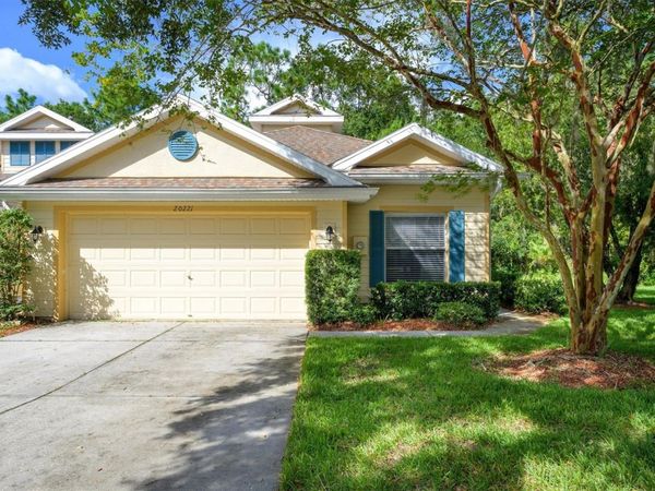 20221 VINTAGE OAKS PLACE , TAMPA, FL 33647