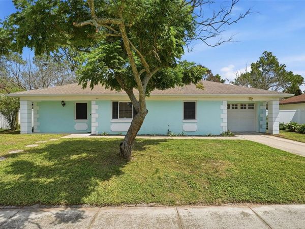 917 ALABAMA WOODS LANE , ORLANDO, FL 32824