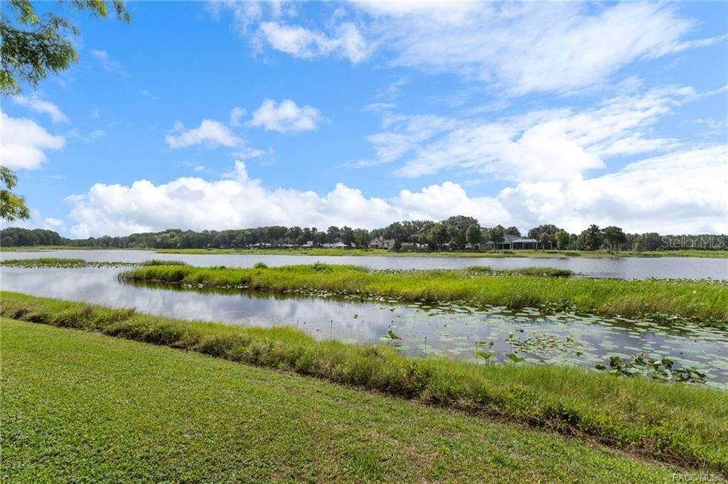8004 E Halcyon Isle Court , Inverness, FL 34450 Photo
