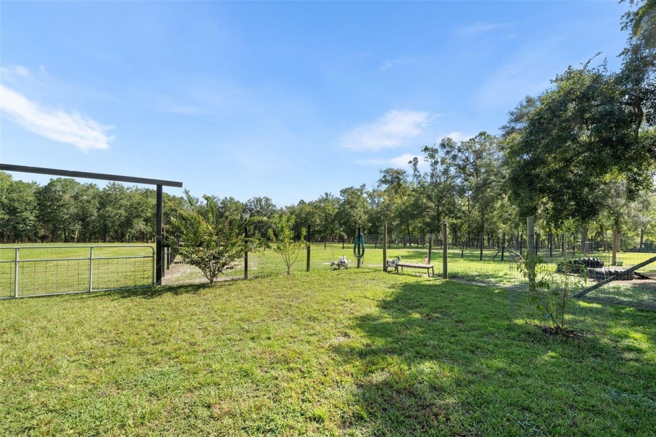 19226 & 19318 SE 24th Avenue, Hawthorne, FL 32640 Photo