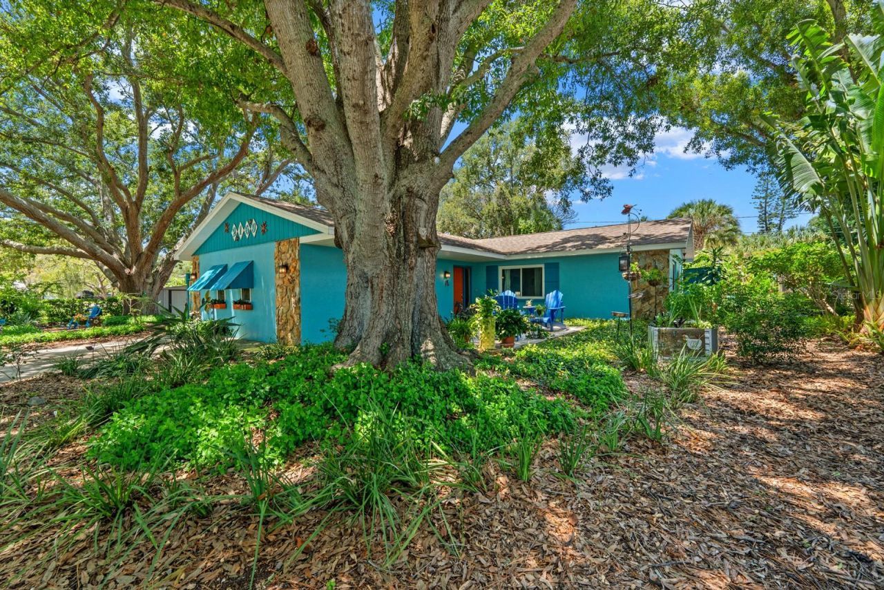 2159 Barcelona Way, Saint Petersburg, FL 33712 Photo