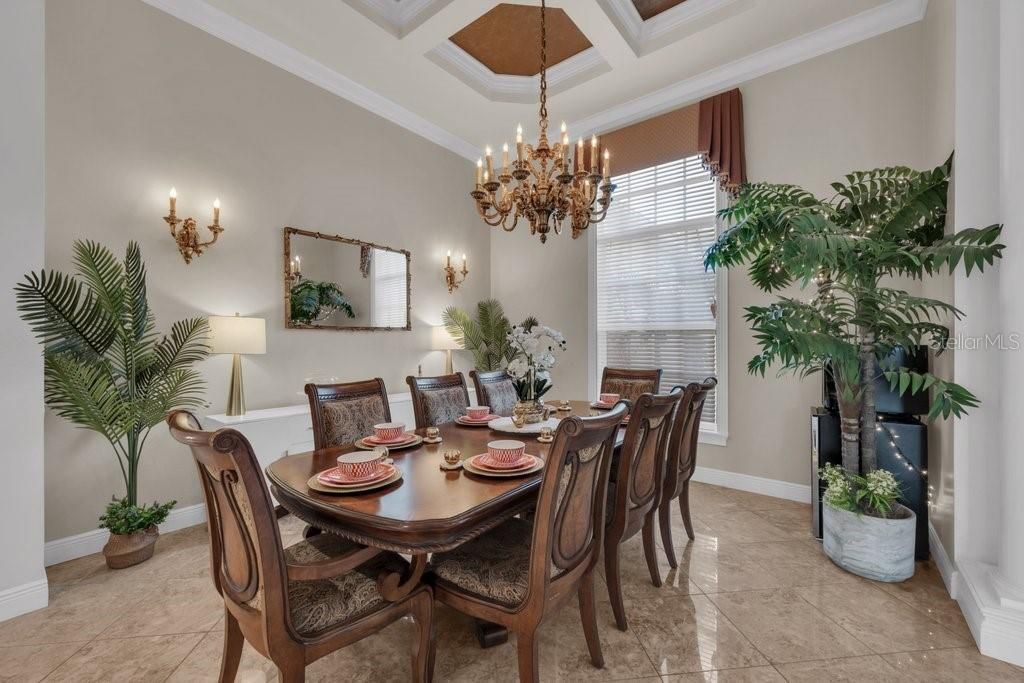 6217 Kingbird Manor Drive, Lithia, FL 33547 Photo